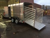 Ifor William TA5 Livestock Trailer