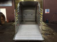 Ifor William TA5 Livestock Trailer